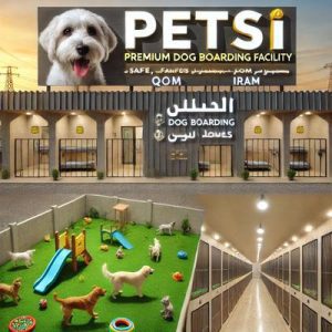 پانسیون نگهداری سگ در قم