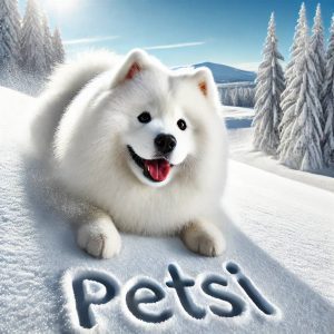 خرید سگ ساموید شیپور