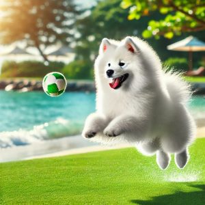 قیمت سگ ساموید