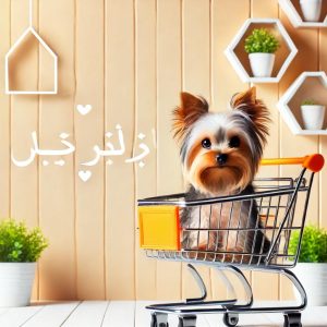خرید سگ یورکشایر تریر ارزان