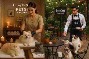 پانسیون حیوانات خانگی در نیاوران