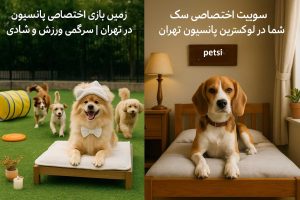 بهترین پانسیون سگ تهران