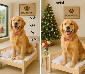 بهترین پانسیون سگ تهران