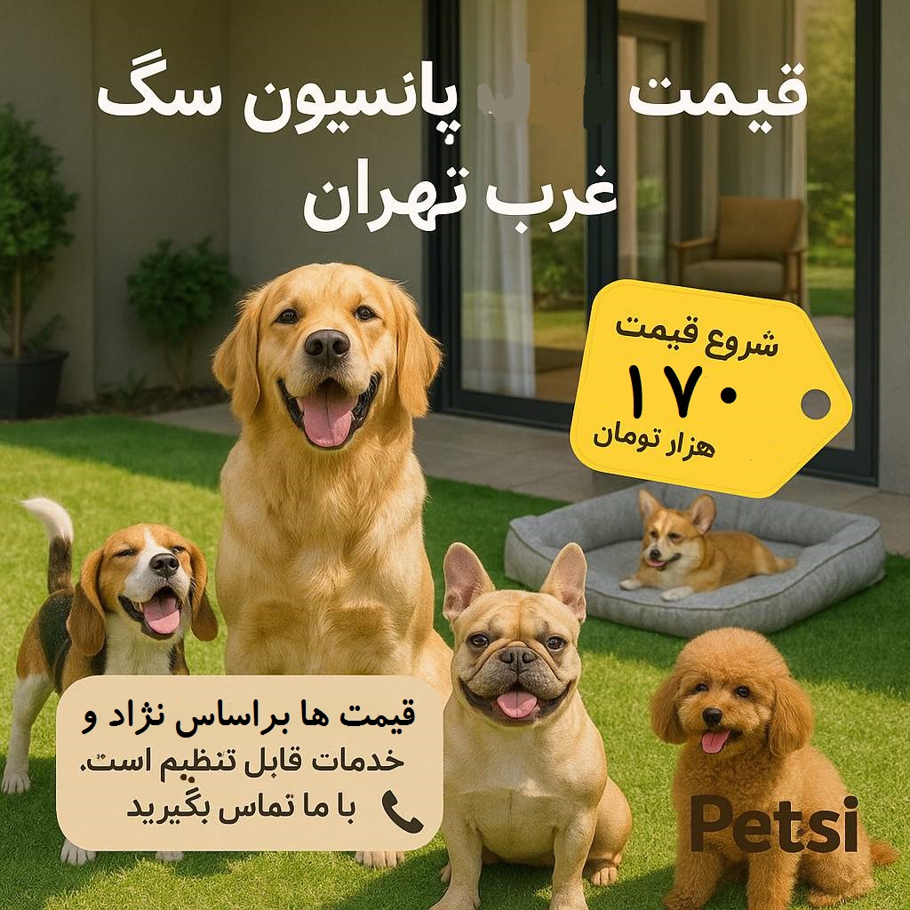 قیمت پانسیون سگ در غرب تهران