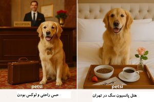 هتل پانسیون سگ در تهران