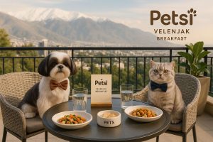 پانسیون حیوانات خانگی در ولنجک