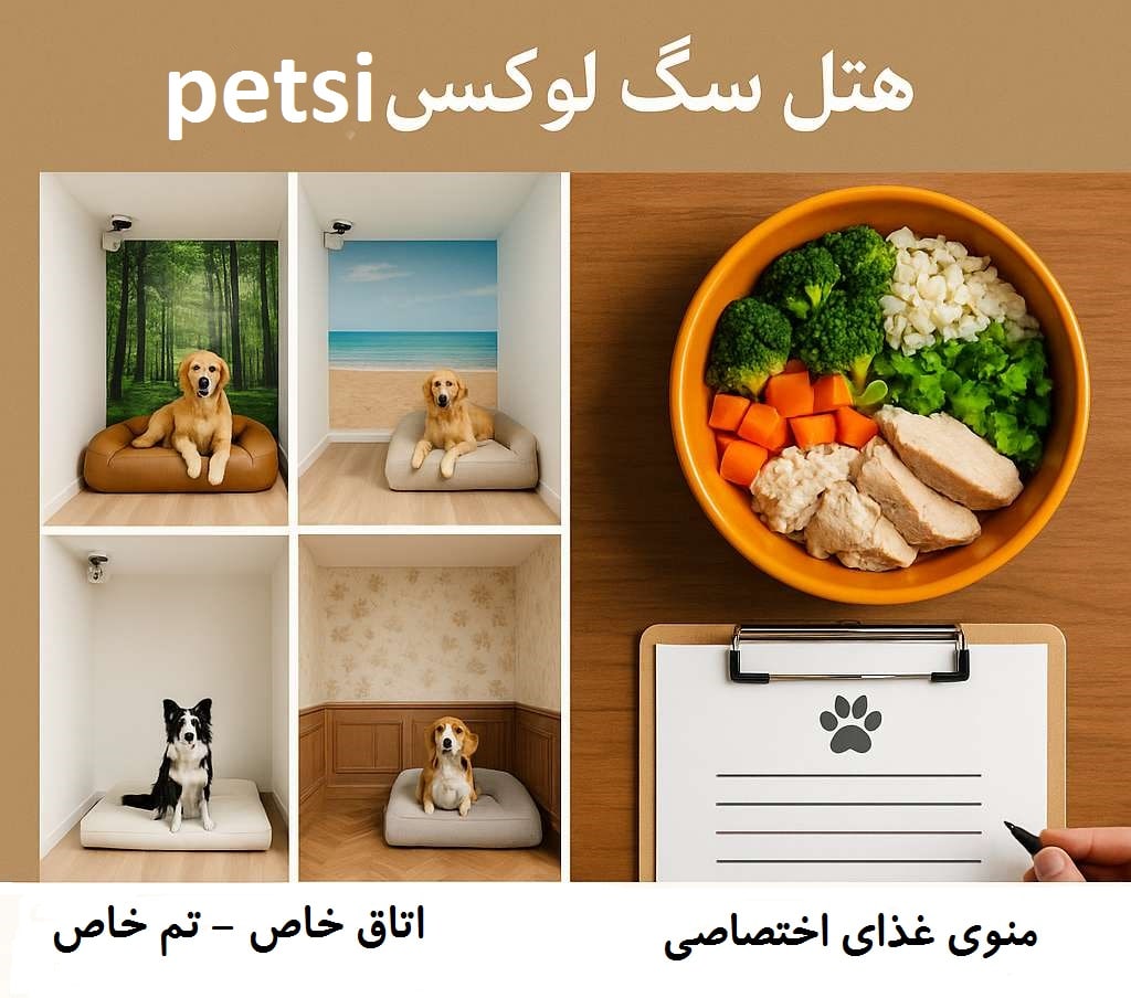 بهترین پانسیون سگ تهران