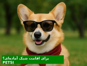 قیمت پانسیون سگ در تهران