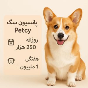 قیمت پانسیون سگ در شرق تهران