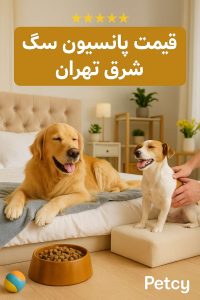قیمت پانسیون سگ در شرق تهران