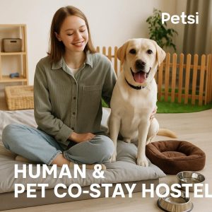 پانسیون ارزان در تهران