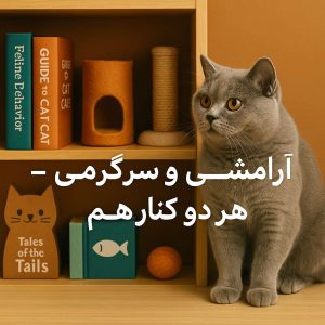 پانسیون گربه در نارمک