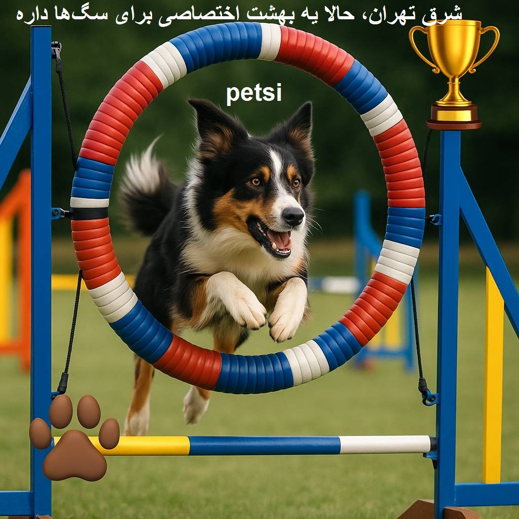 بهترین پانسیون سگ شرق تهران