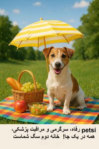 بهترین پانسیون سگ شرق تهران