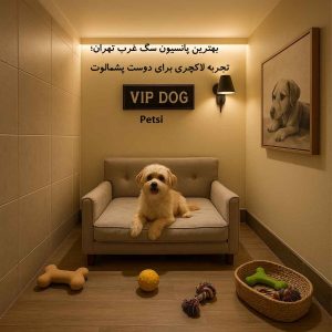 بهترین پانسیون سگ غرب تهران