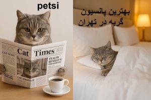 بهترین پانسیون گربه در تهران