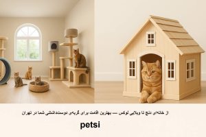 بهترین پانسیون گربه در تهران
