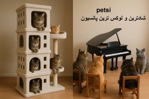 بهترین پانسیون گربه در تهران