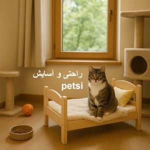 پانسیون گربه در تهران نو