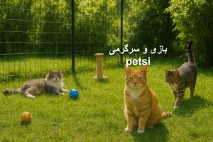 پانسیون گربه در تهران نو