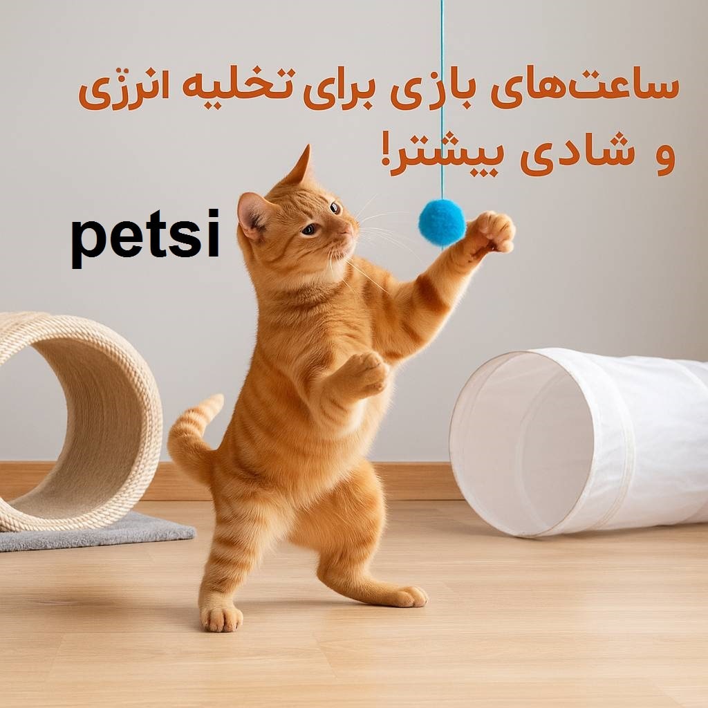 پانسیون گربه در شرق تهران