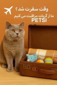 پانسیون گربه در نارمک