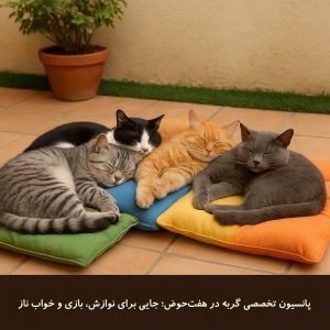 پانسیون گربه در هفت حوض