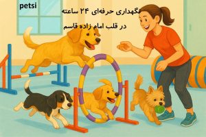 بهترین پانسیون سگ در امام زاده قاسم