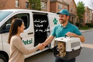 بهترین پانسیون سگ در امام زاده قاسم