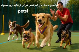 بهترین پانسیون سگ در تهرانسر