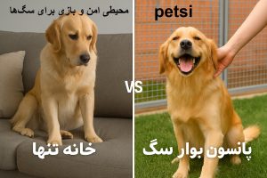 پانسیون سگ بلوار ابوذر