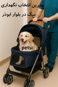 پانسیون سگ بلوار ابوذر