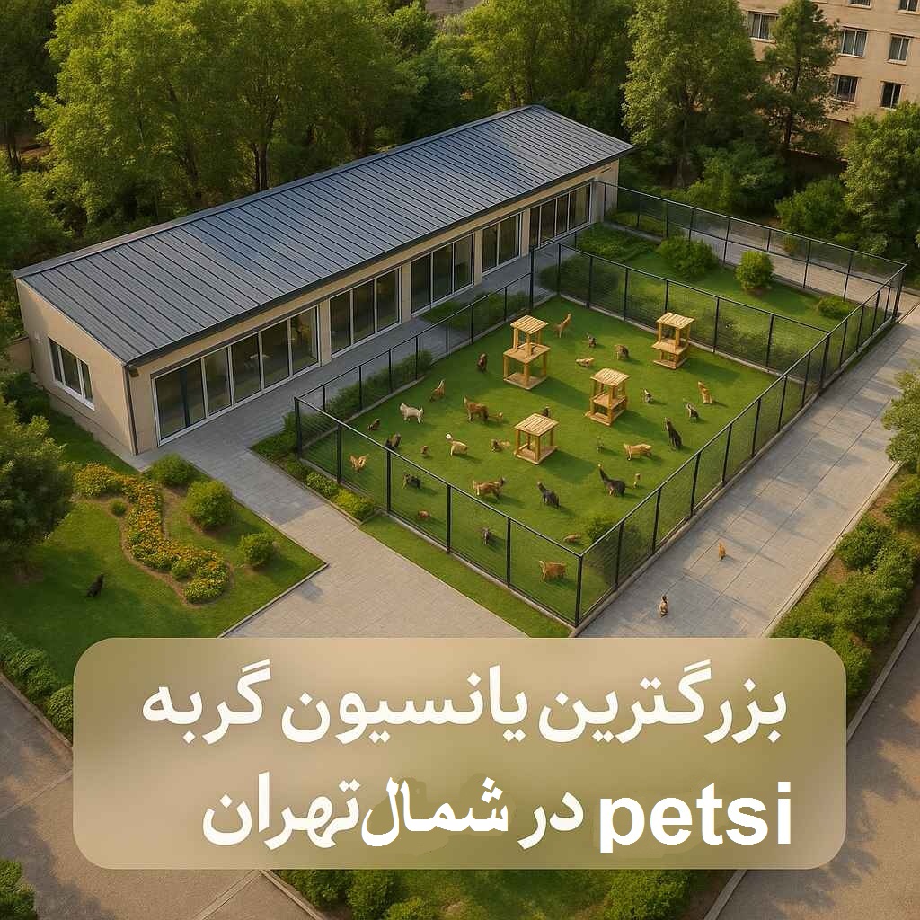 بهترین پانسیون گربه شمال تهران
