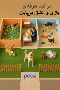 بهترین پانسیون سگ در امام زاده قاسم