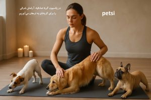 پانسیون نگهداری گربه در صادقیه