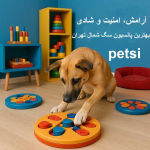 بهترین پانسیون سگ شمال تهران