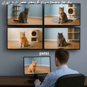 بهترین پانسیون گربه در شرق تهران