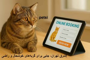 بهترین پانسیون گربه در شرق تهران