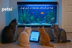 بهترین پانسیون گربه در شرق تهران