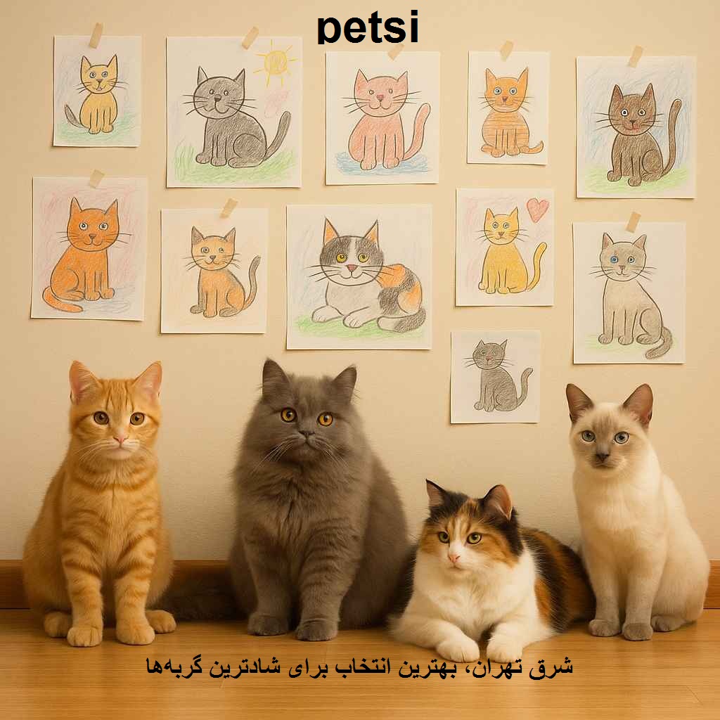 بهترین پانسیون گربه در شرق تهران