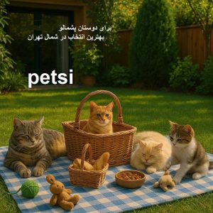 بهترین پانسیون گربه شمال تهران