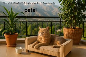 بهترین پانسیون گربه شمال تهران