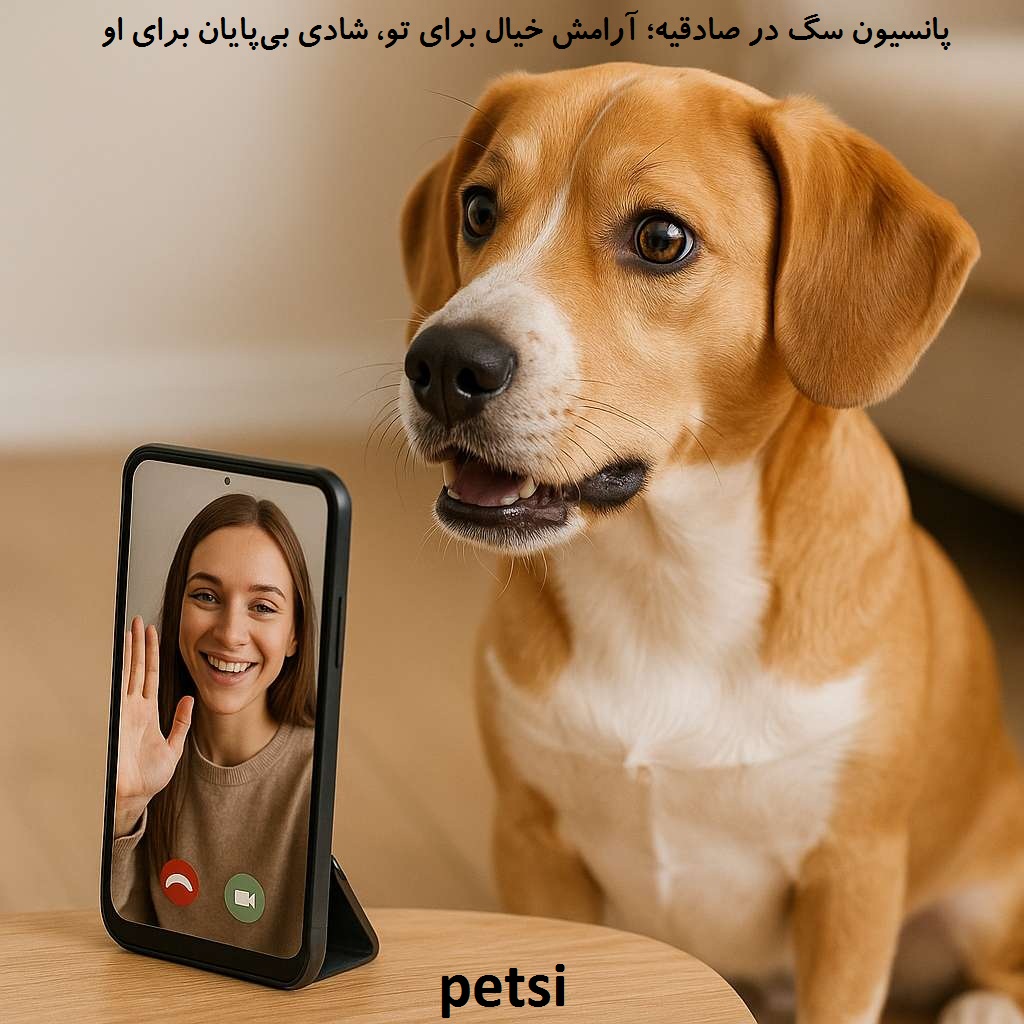 پانسیون سگ در صادقیه