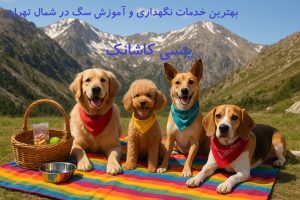 پانسیون سگ کاشانک