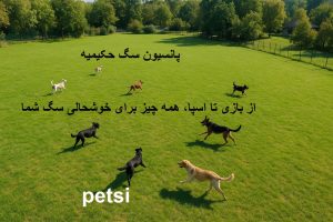 پانسیون سگ حکیمیه