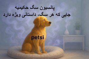 پانسیون سگ حکیمیه