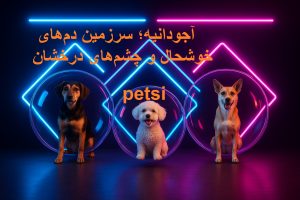 پانسیون سگ آجودانیه