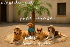 پانسیون سگ تهران نو