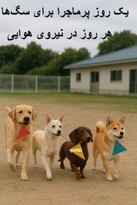 پانسیون سگ نیروی هوایی