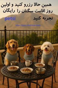 پانسیون سگ کاشانک